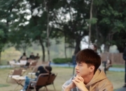 一只帅气的小狼狗